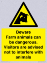 beware-farm-animals-can-be-dangerous-visitors-are-advised-not-to-interfere-with-~